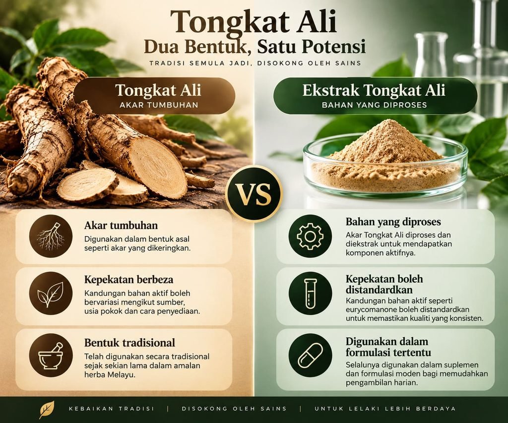 Perbandingan akar Tongkat Ali semula jadi dan ekstrak Tongkat Ali